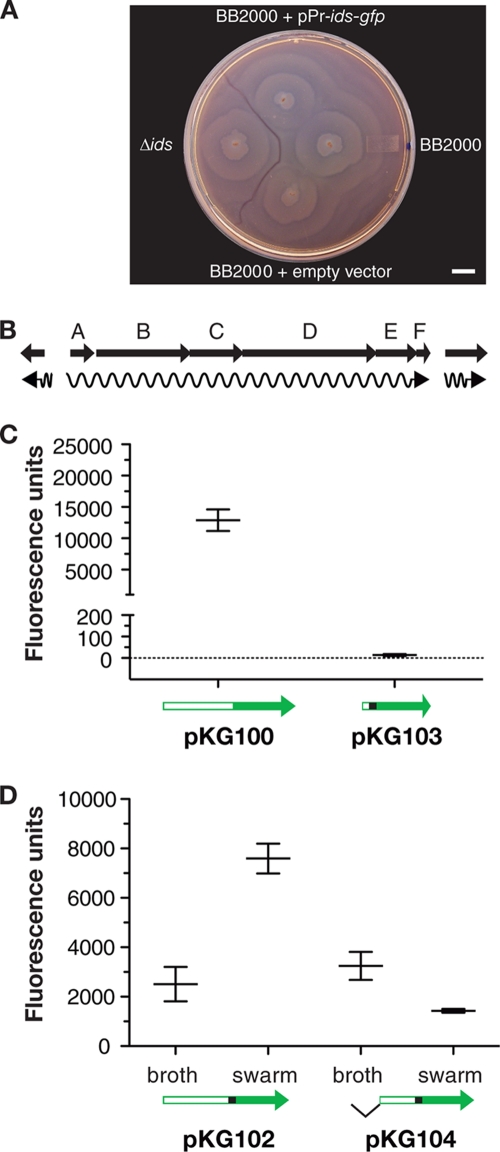 Fig. 1.