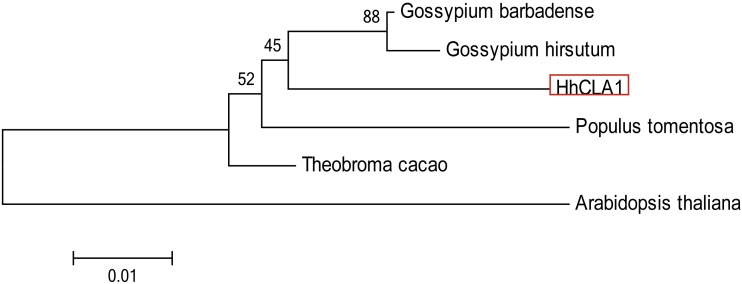 Figure 2