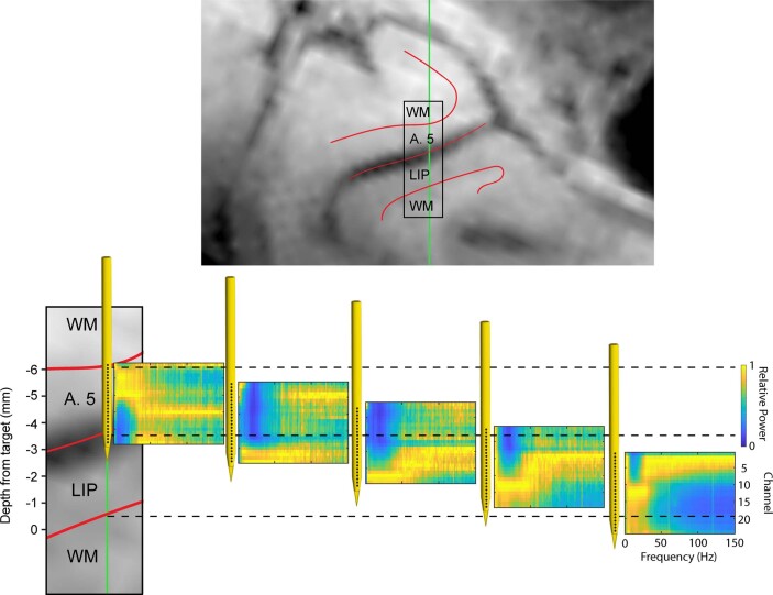 Extended Data Fig. 6