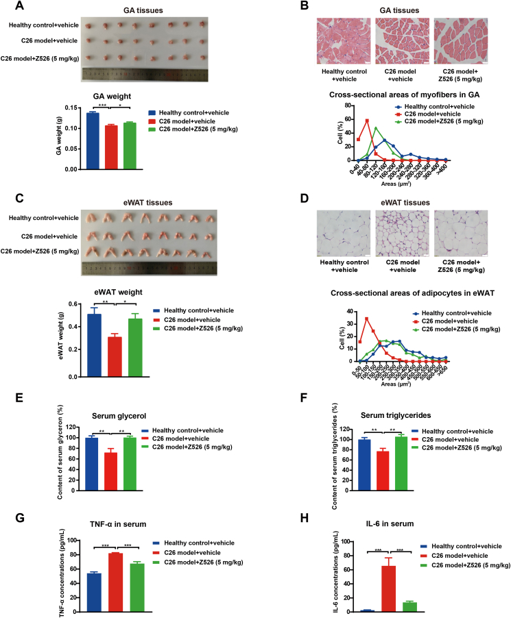 Figure 4