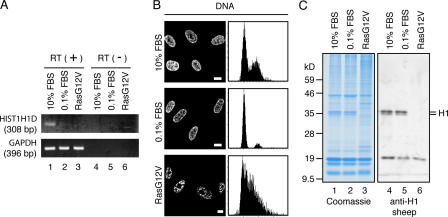 Figure 6.