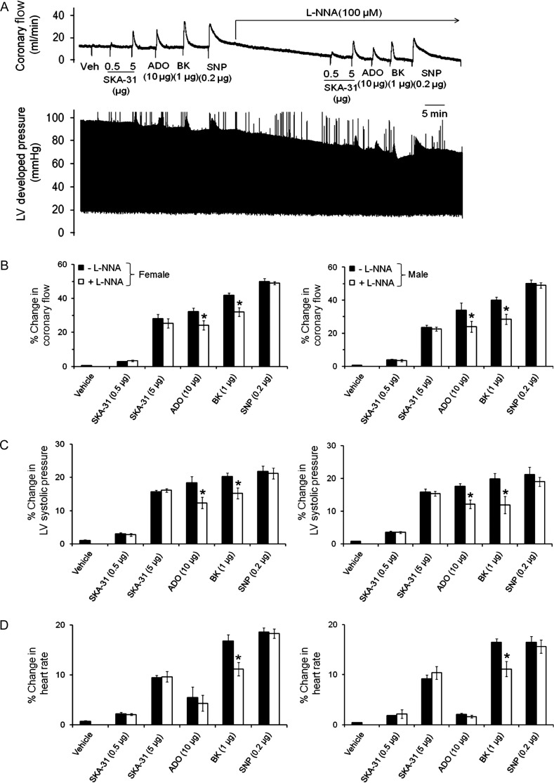 Figure 5