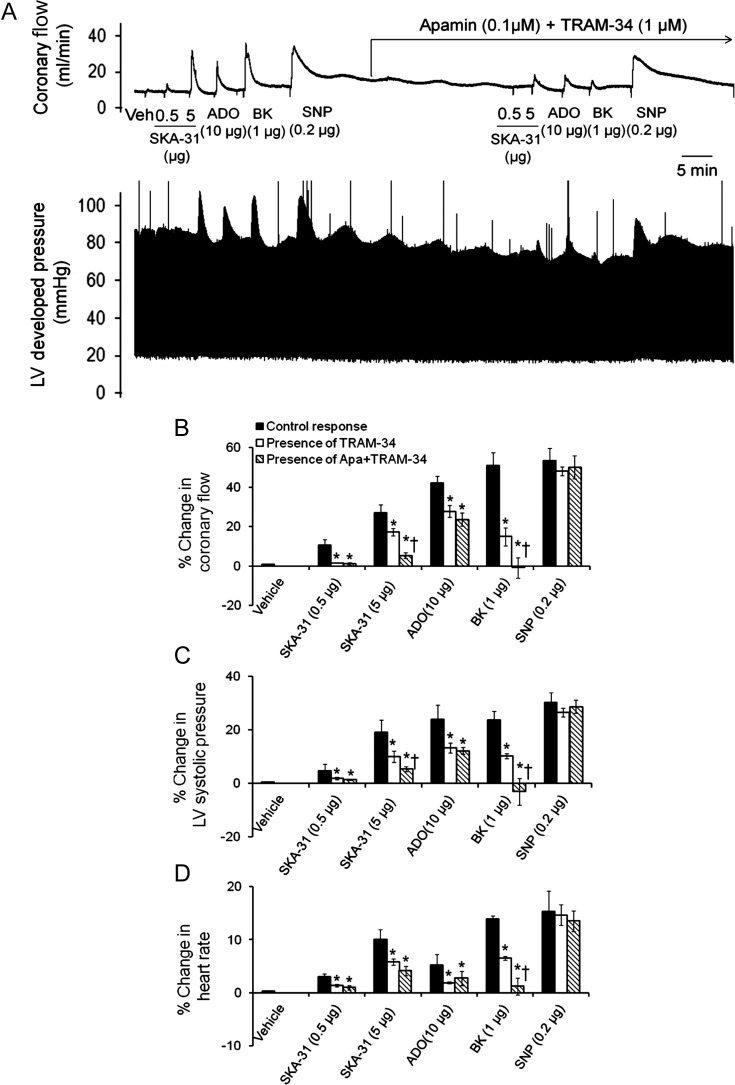 Figure 4