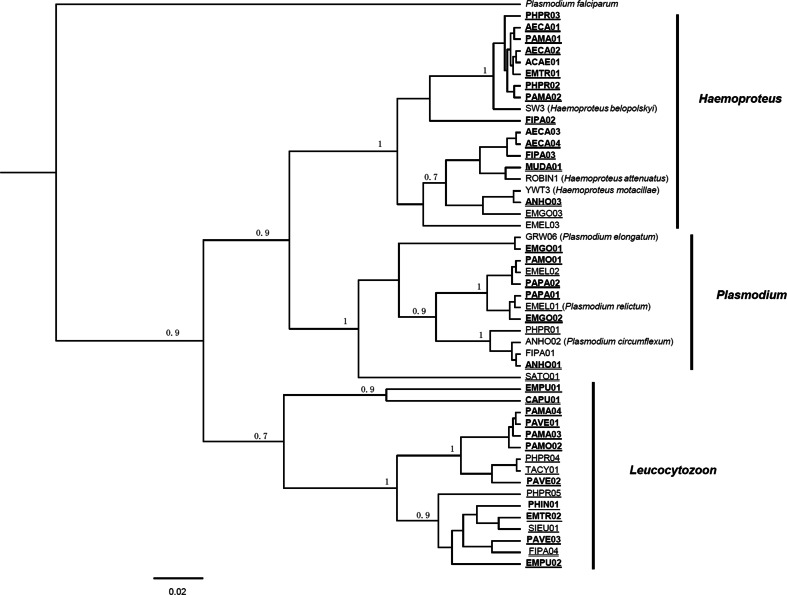 Fig. 2