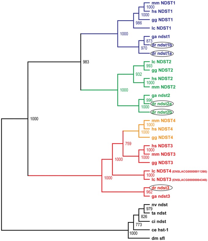 Fig 1