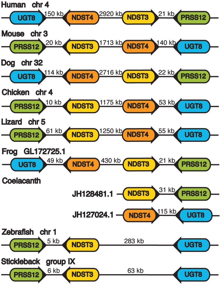 Fig 2