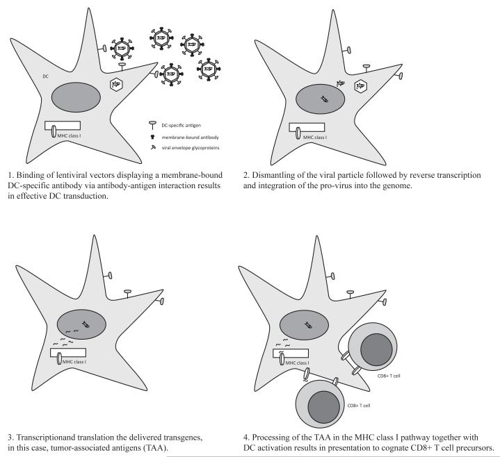 Fig. (1)