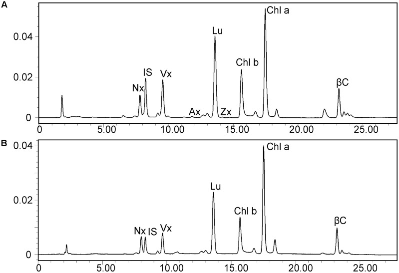 FIGURE 3