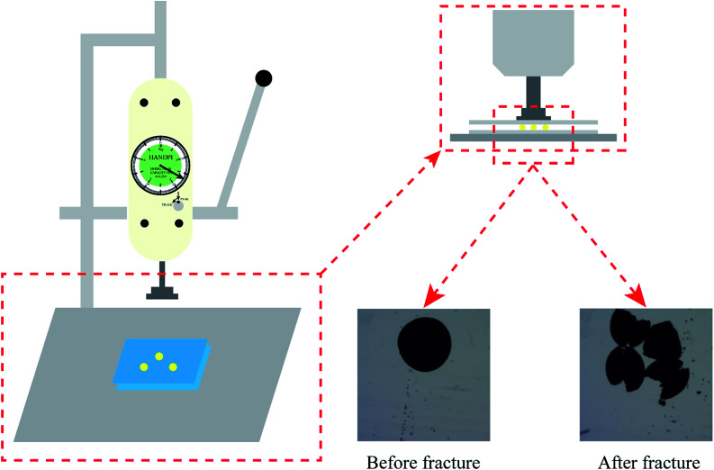 Fig. 3