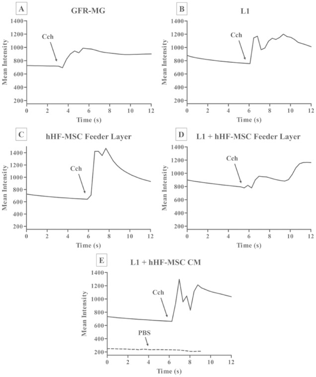 Figure 4.