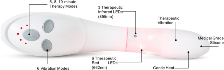 Fig. 1