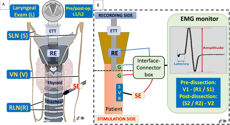 Figure 2