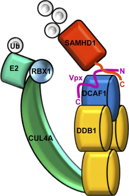 FIGURE 6.