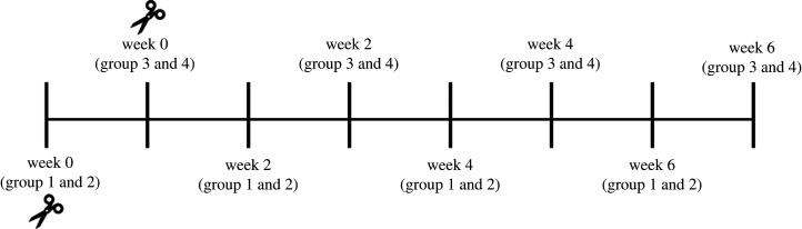 Figure 3. 