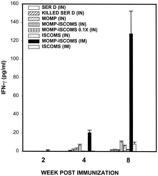 FIG. 1