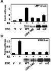 FIG. 9.