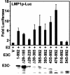 FIG. 6.