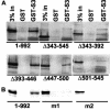 FIG. 8.