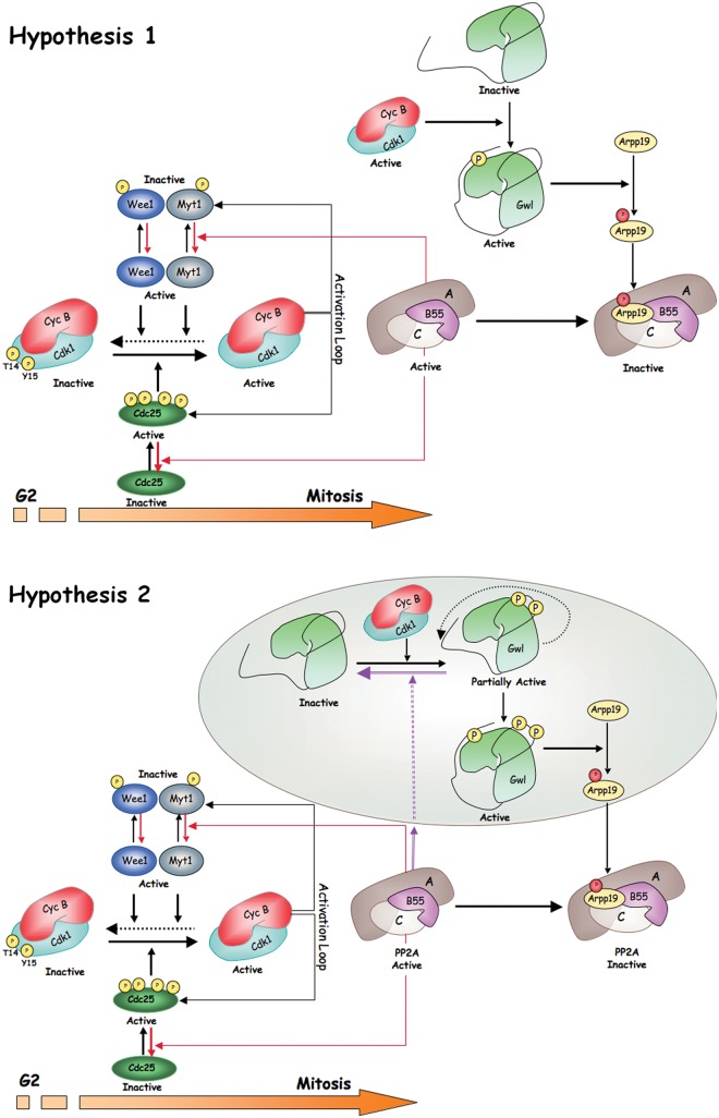 Figure 2.