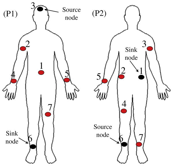 Fig. 19