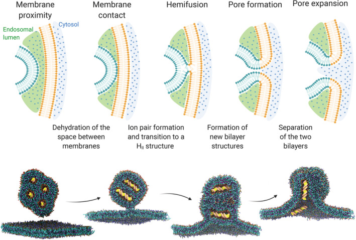 FIGURE 4