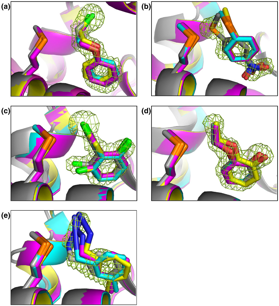 Figure 5