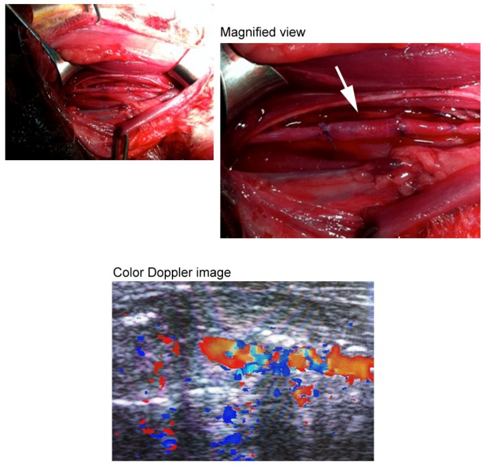 Figure 4