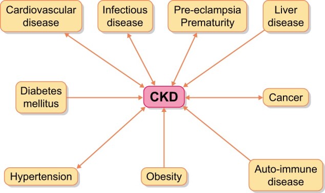 FIGURE 1: