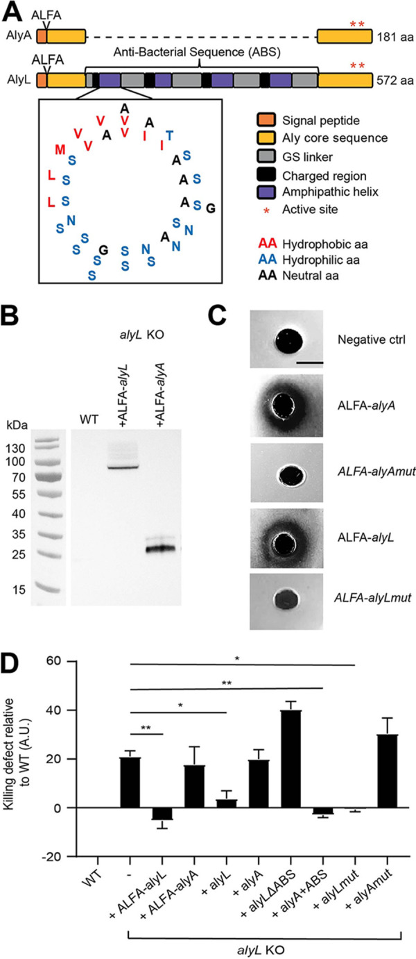 FIG 4