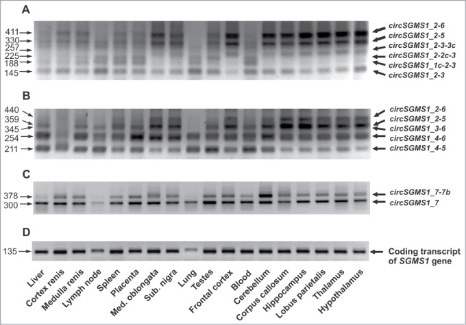 Figure 4.