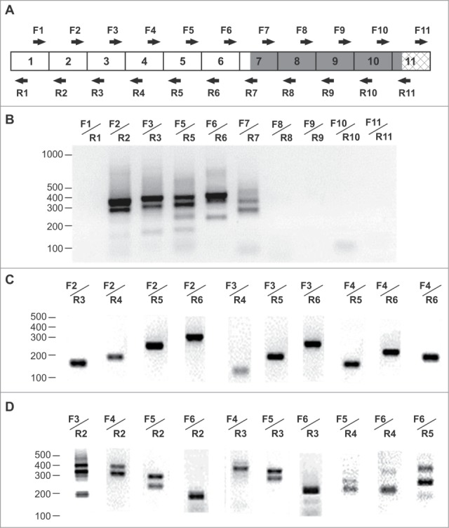 Figure 2.