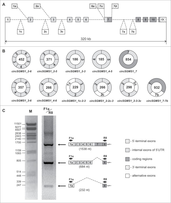 Figure 3.