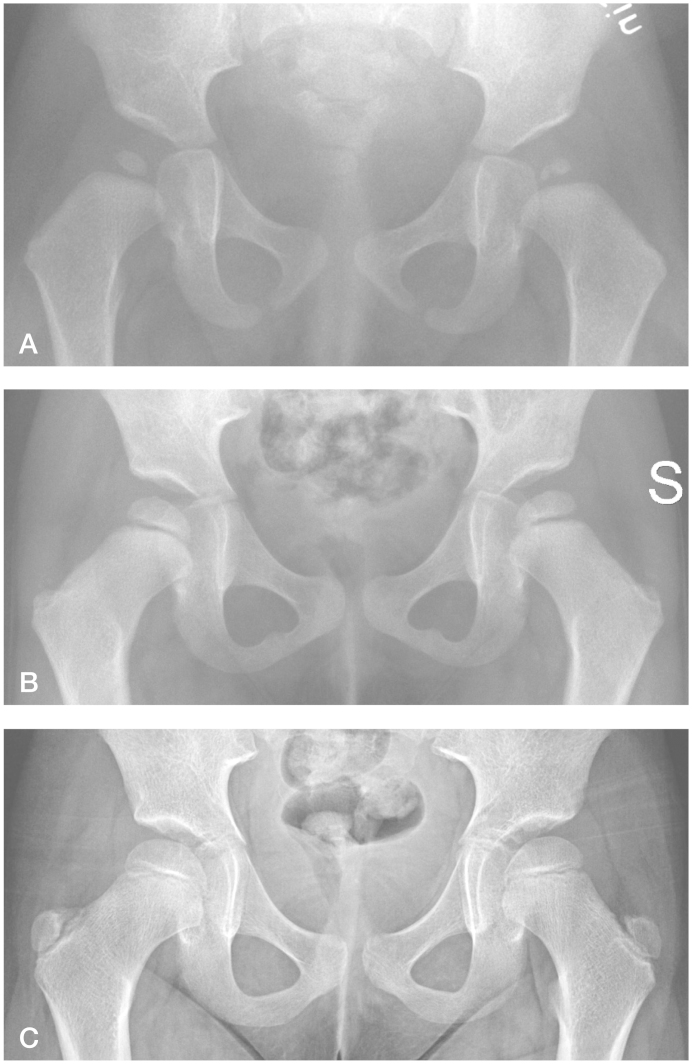 Figure 2.