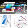 Image, graphical abstract