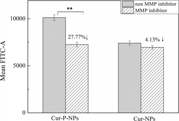 Fig. 12