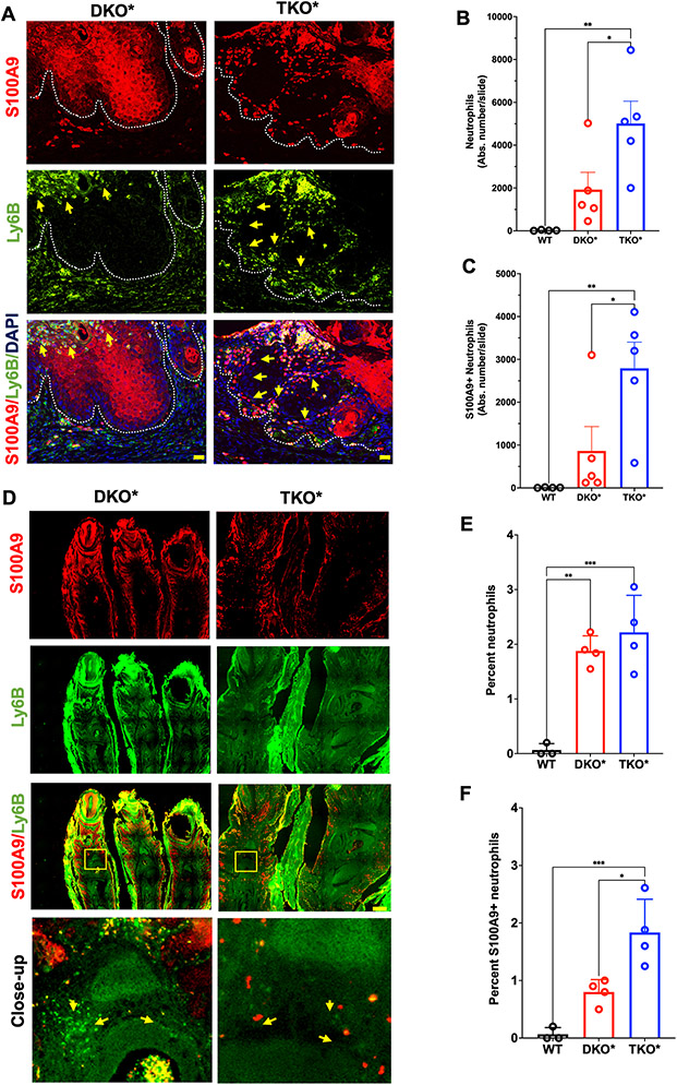 Figure 3: