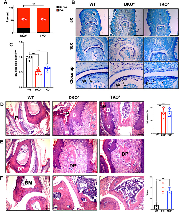 Figure 2: