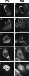 FIG. 5.