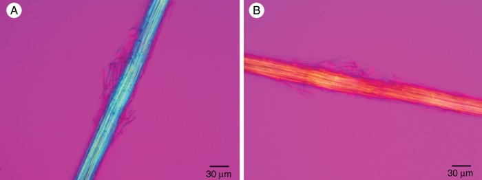 Fig. 8.