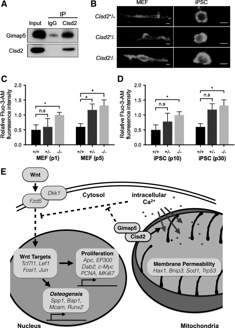 FIG. 6.