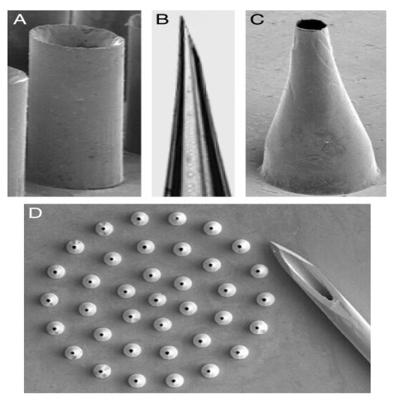 Figure 7