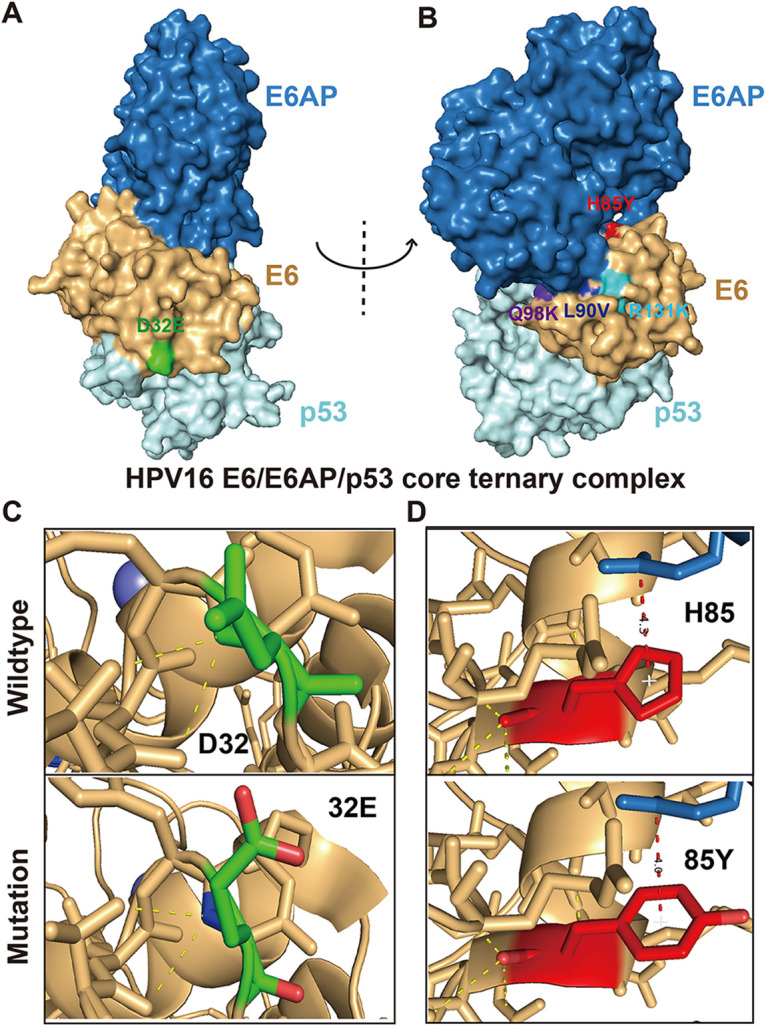 FIG 4