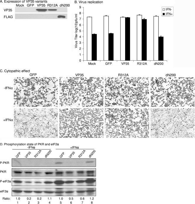 FIG. 6.