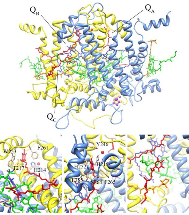 Fig. (2)