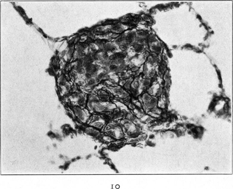 Fig. 10