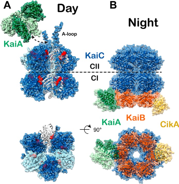 Figure 2.