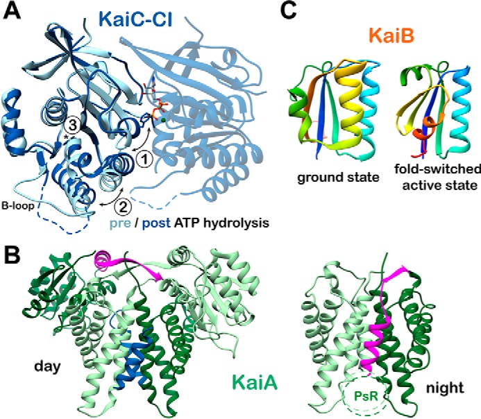 Figure 3.