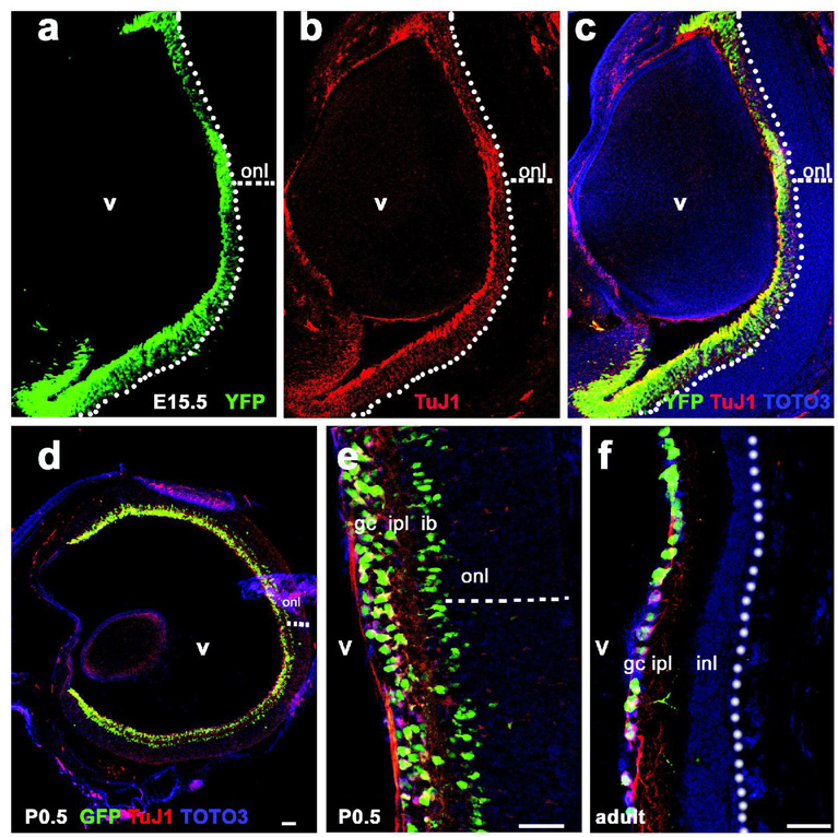 Fig.7