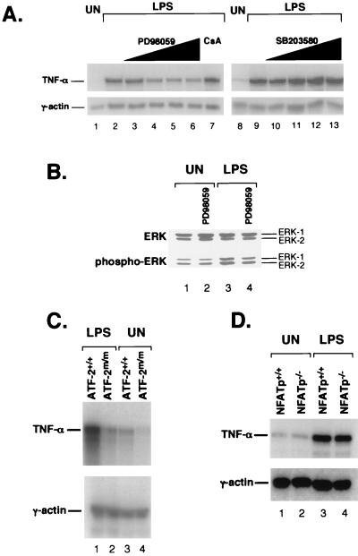 FIG. 5