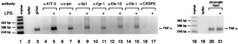 FIG. 8